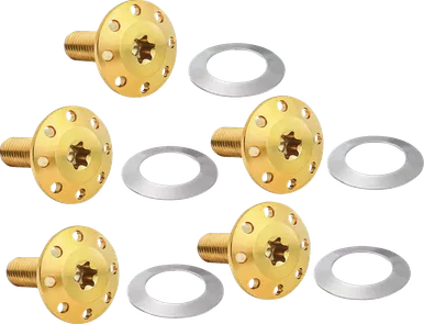 Arlen Ness Bolt Kit - Holeshot/Front/Floating/Brake Rotor - Spoke Mount - Gold - 5 Pack 300-922