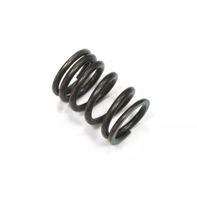 Intake Spring XU-09536IS