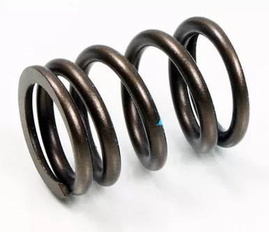 Psychic Intake Valve Spring XU-09527IS