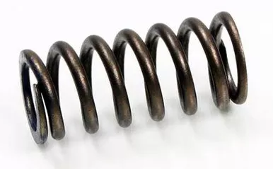 Psychic Products Psychic Intake Valve Spring Xu-09519Is