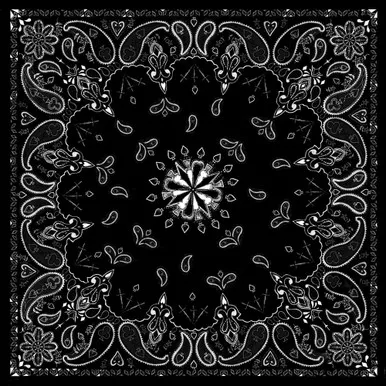 Zan Bandanna Black Paisley B001